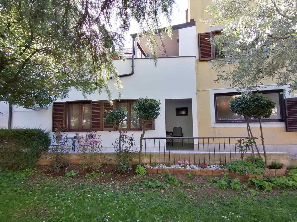 Apartments Pepe Novigrad Istria Eksteriør billede